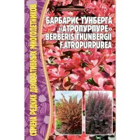 Барбарис Тунберга Атропурпурея [Семена редких растений]
