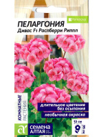 Пеларгония Дивас Распберри Риппл [Семена алтая]