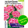 Пеларгония Дивас Распберри Риппл [Семена алтая]