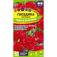 Гвоздика гренадин Леди в красном [Семена алтая]