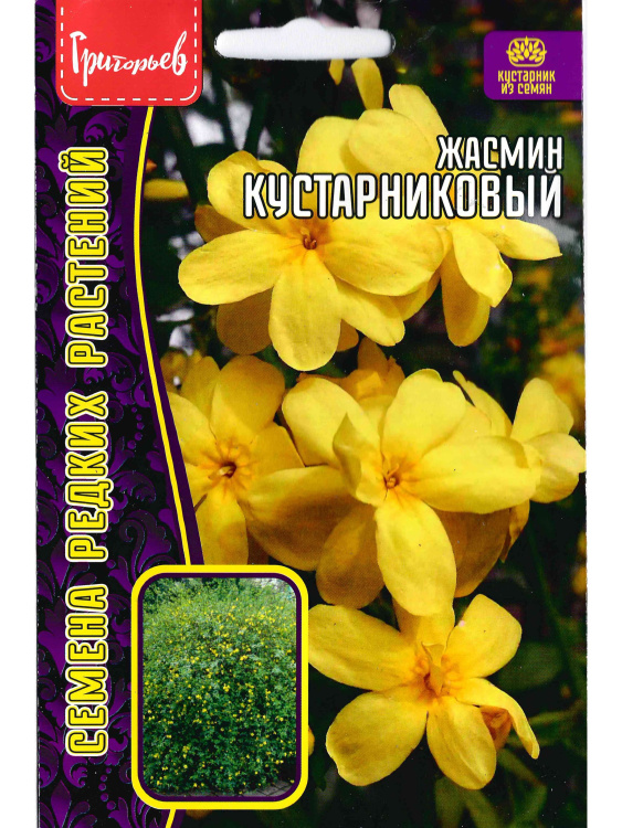 Жасмин Кустарниковый [Семена редких растений] купить с доставкой