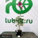 Флокс Заветное желание купить с доставкой