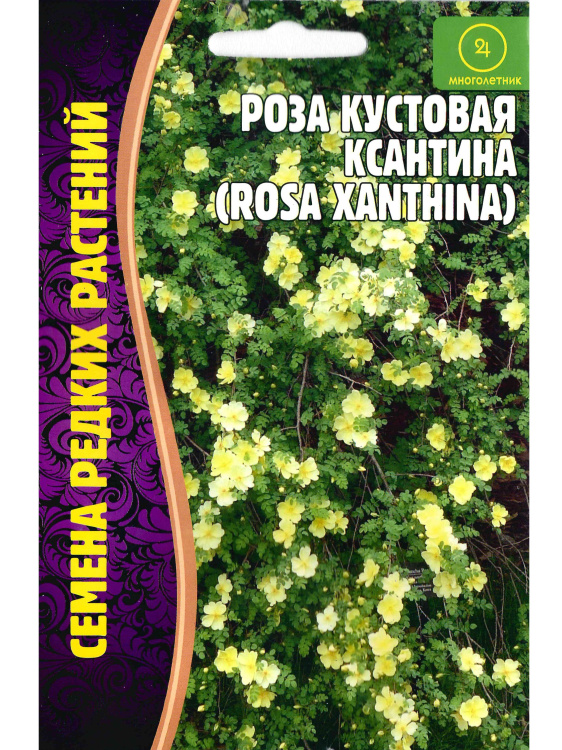 Роза кустовая Ксантина [Семена редких растений] купить с доставкой