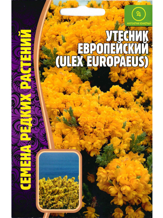 Утесник Европейский [Семена редких растений] купить с доставкой