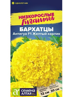 Бархатцы Антигуа Желтый карлик [Семена алтая]