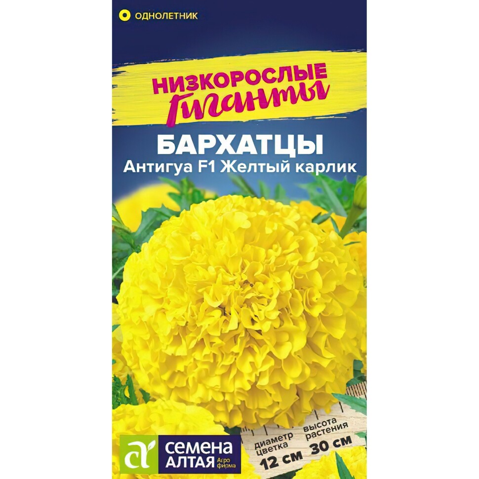 Бархатцы Антигуа Желтый карлик [Семена алтая] купить с доставкой