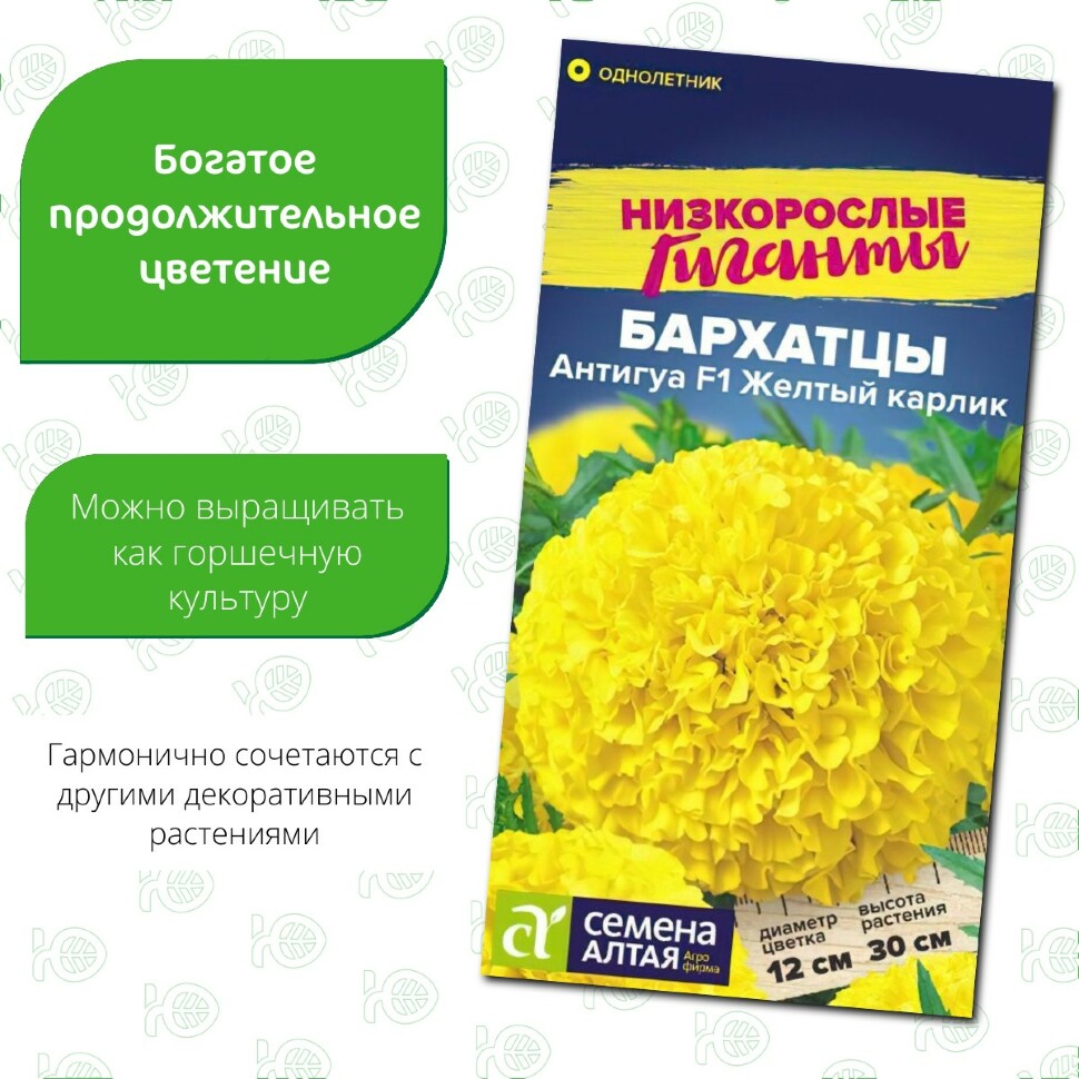 Бархатцы Антигуа Желтый карлик [Семена алтая] купить с доставкой