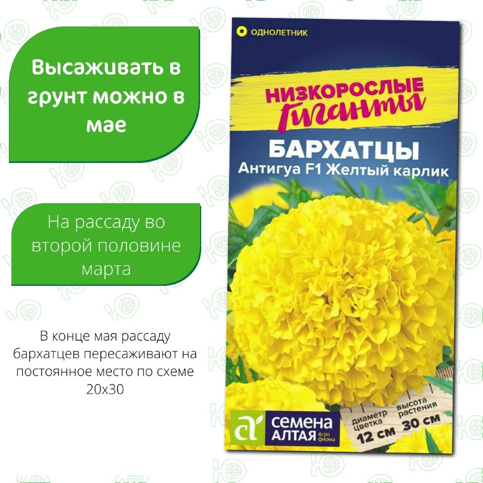 Бархатцы Антигуа Желтый карлик [Семена алтая] купить с доставкой
