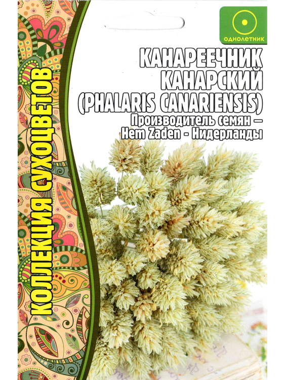 Канареечник Канарский [Семена редких растений] купить с доставкой
