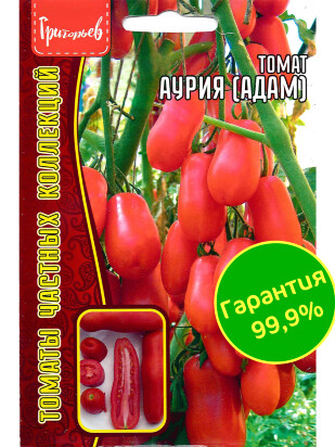 Томат Аурия [Семена редких растений]