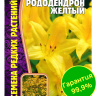 Рододендрон Желтый [Семена редких растений]