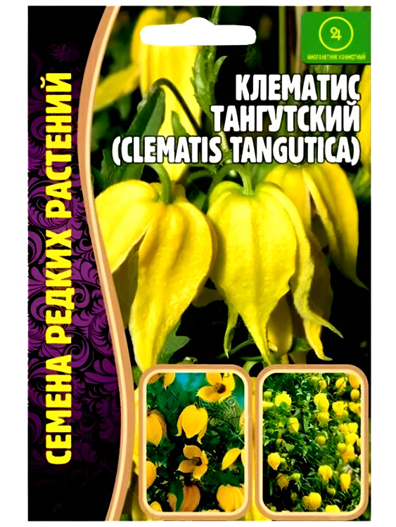 Клематис Тангутский [Семена редких растений] купить с доставкой