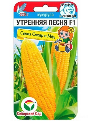 Кукуруза Утренняя песня [Сибирский сад]