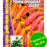 Рябина Додонг смешанная [Семена редких растений]