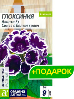 Глоксиния Аванти Синяя с белым краем + подарок [Семена алтая]