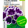 Глоксиния Аванти Синяя с белым краем + подарок [Семена алтая] купить с доставкой