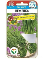 Лук Шнитт Неженка [Сибирский сад]