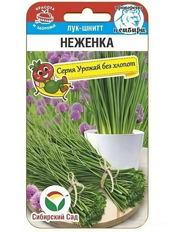 Лук Шнитт Неженка [Сибирский сад] купить с доставкой