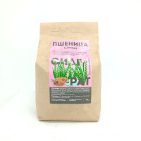 Пшеница озимая сидерат 500г [Семена Алтая]