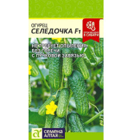 Огурец Селедочка + подарок [Семена алтая]