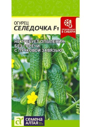 Огурец Селедочка [Семена алтая]