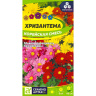 Хризантема Корейская смесь [Семена алтая] купить с доставкой