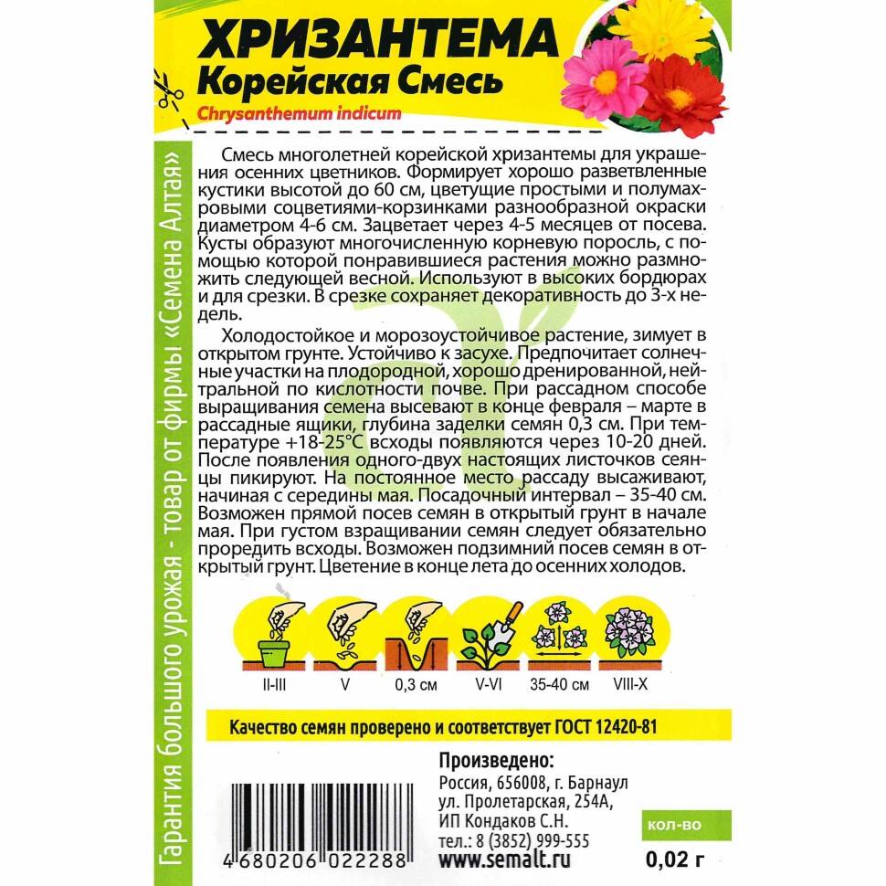 Хризантема Корейская смесь [Семена алтая] купить с доставкой