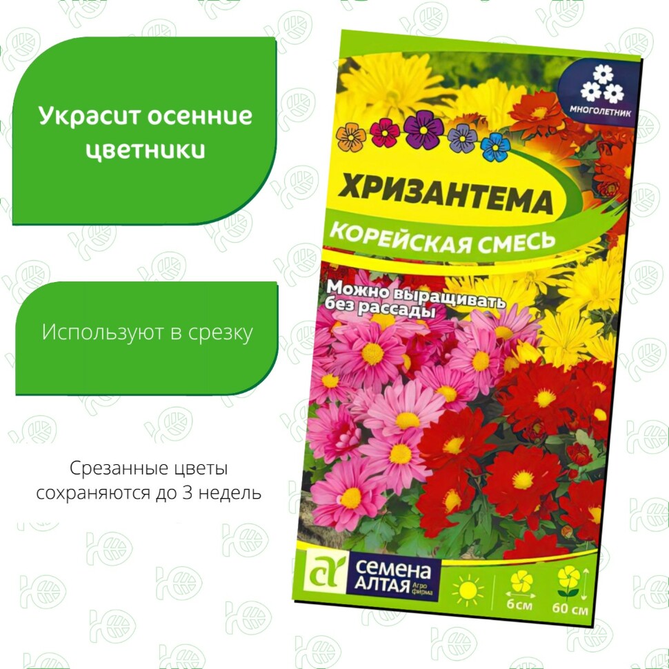 Хризантема Корейская смесь [Семена алтая] купить с доставкой