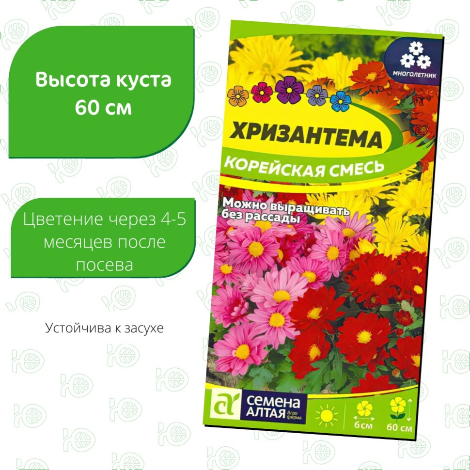 Хризантема Корейская смесь [Семена алтая] купить с доставкой