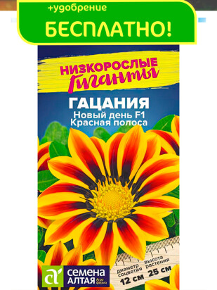 Гацания Новый день Красная полоса [Семена алтая]