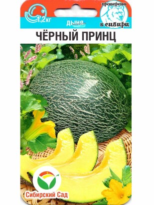 Дыня Черный принц [Сибирский сад]