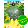 Дыня Черный принц [Сибирский сад] купить с доставкой