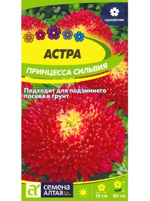 Астра Принцесса Сильвия [Семена алтая]