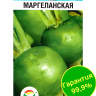 Редька Маргеланская [Сибирский сад] купить с доставкой