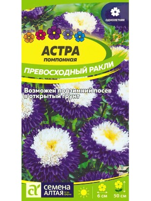 Астра Превосходный Ракли помпонная [Семена алтая]