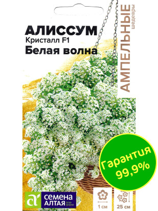 Алиссум Кристалл Белая Волна ампельный [Семена алтая]
