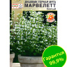 Душевик Горная мята марвелетт Белый [Аэлита]