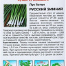 Лук Батун Русский Зимний [Русский Огород] купить с доставкой