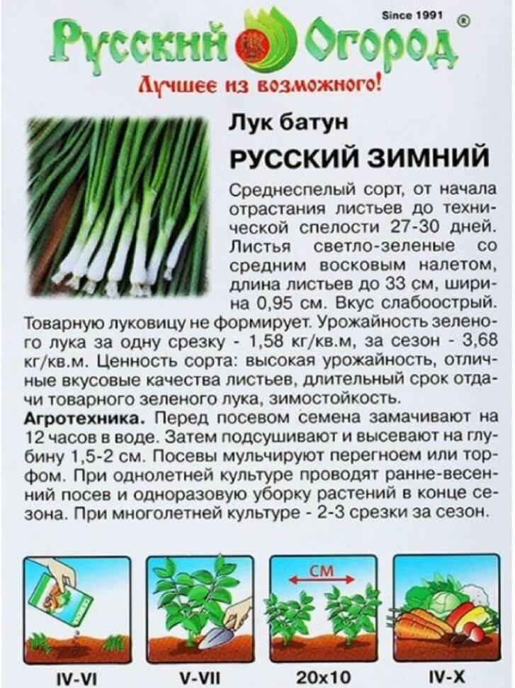 Лук Батун Русский Зимний [Русский Огород] купить с доставкой