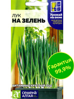 Лук на Зелень [Семена алтая]