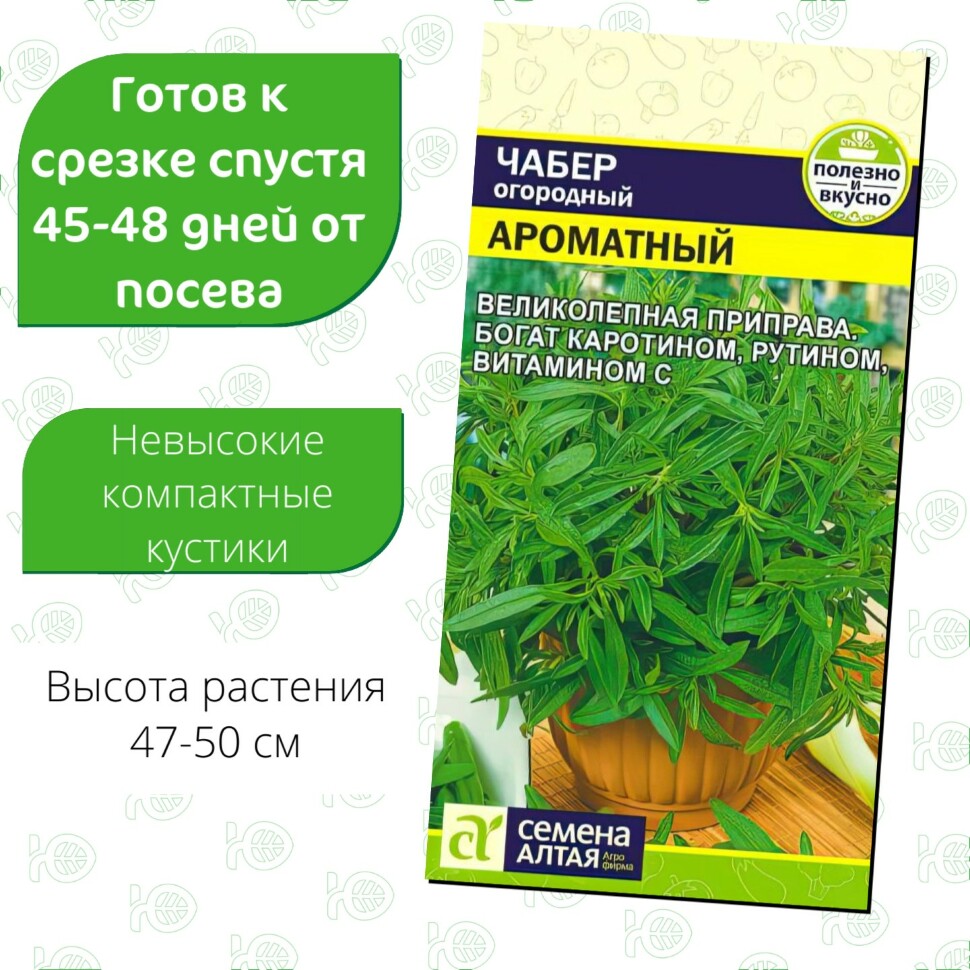 Чабер Ароматный [Семена алтая] купить с доставкой