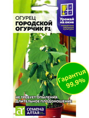 Огурец Городской Огурчик [Семена алтая]