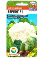 Капуста цветная Беринг [Сибирский сад]