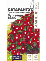 Катарантус Средиземноморский Бургунди Хало [Семена алтая]