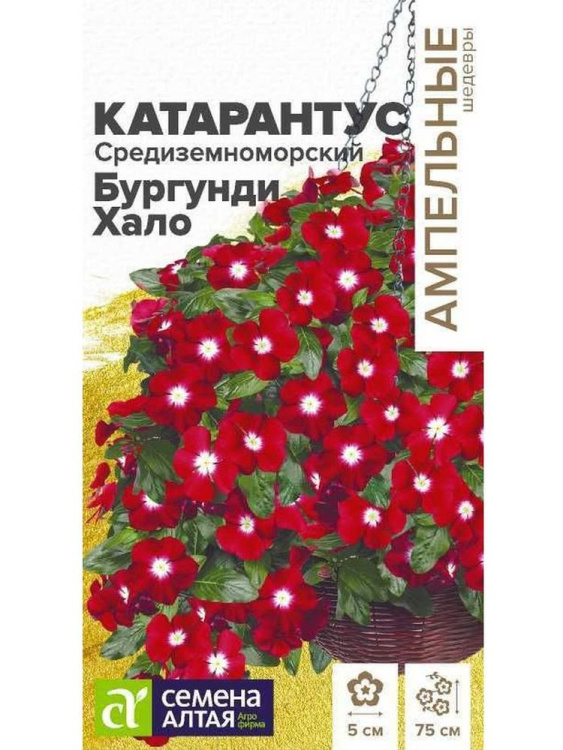 Катарантус Средиземноморский Бургунди Хало [Семена алтая] купить с доставкой