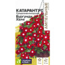 Катарантус Средиземноморский Бургунди Хало [Семена алтая] купить с доставкой