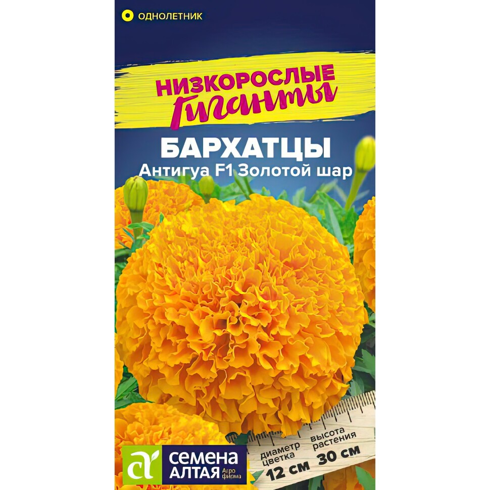 Бархатцы Антигуа Золотой шар [Семена алтая] купить с доставкой