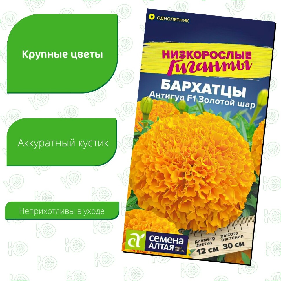 Бархатцы Антигуа Золотой шар [Семена алтая] купить с доставкой