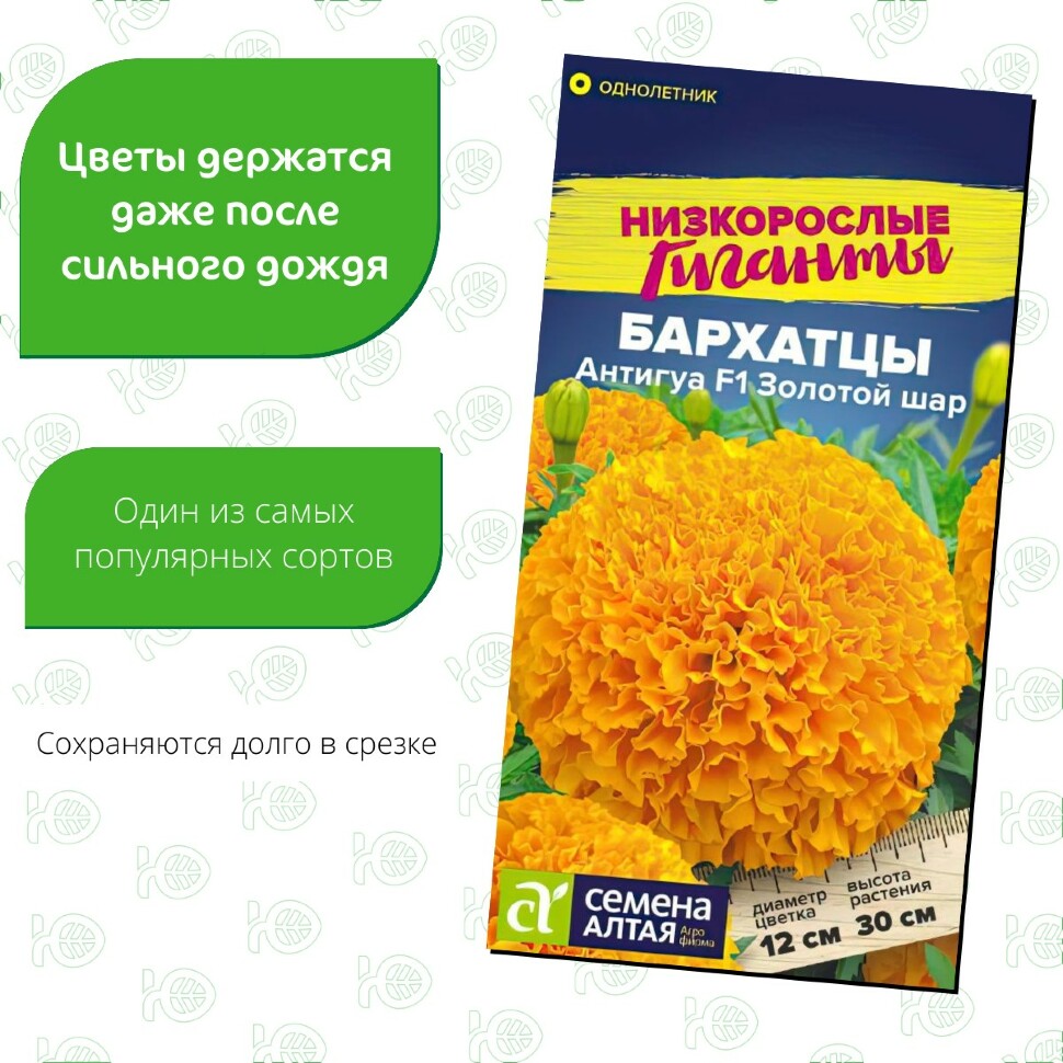 Бархатцы Антигуа Золотой шар [Семена алтая] купить с доставкой