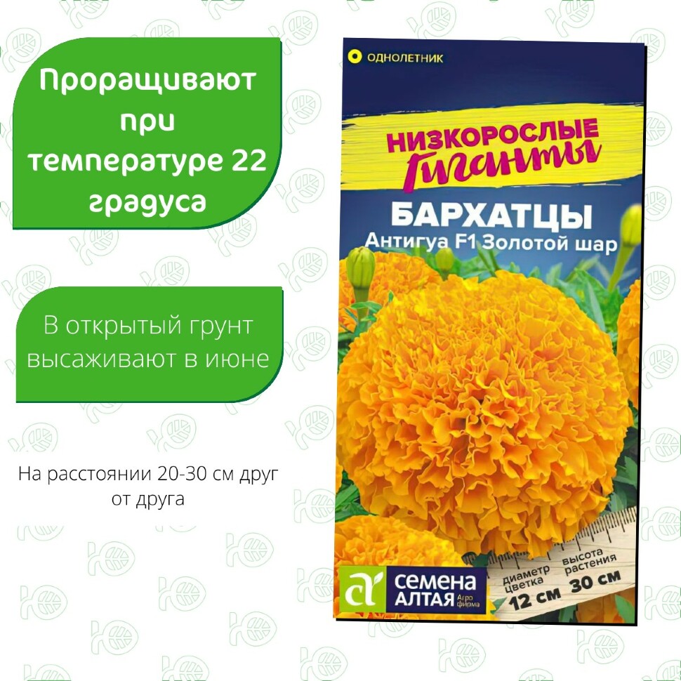 Бархатцы Антигуа Золотой шар [Семена алтая] купить с доставкой